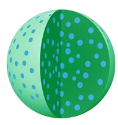 encapsulation